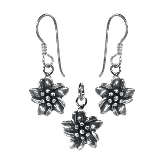 Conjunto de Plata Flores
