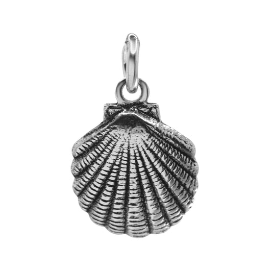 Colgante de Plata Concha