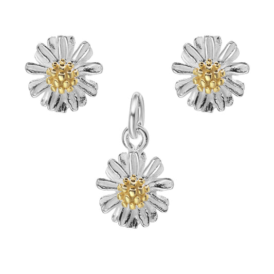 Conjunto de Plata - Margarita
